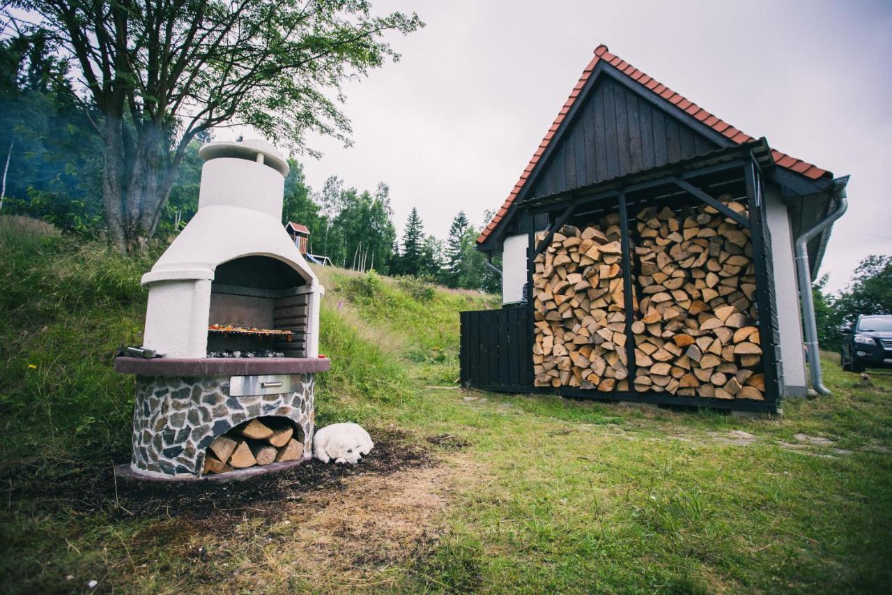 Izerski Horyzont - dom z balią w leśnej perspektywie Kopaniec Zewnętrze zdjęcie